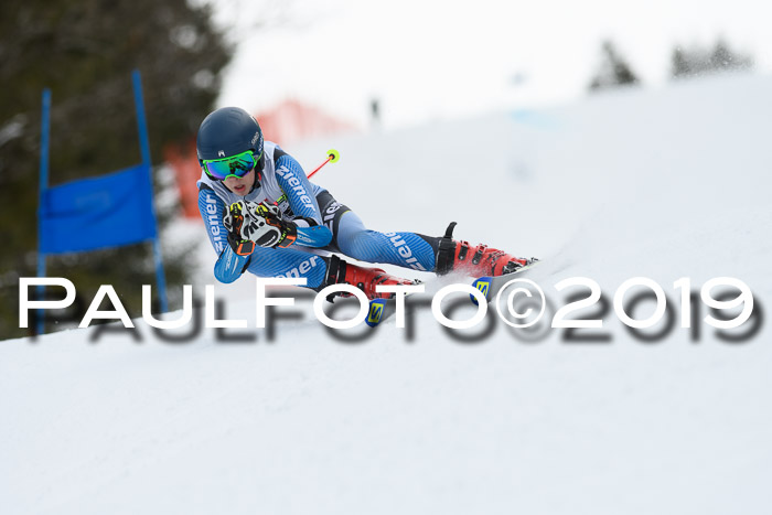 5. BZB CUP RS, + Werdenfelser Meisterschaft + U18, 10.02.2019