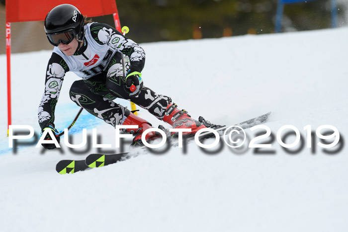 5. BZB CUP RS, + Werdenfelser Meisterschaft + U18, 10.02.2019