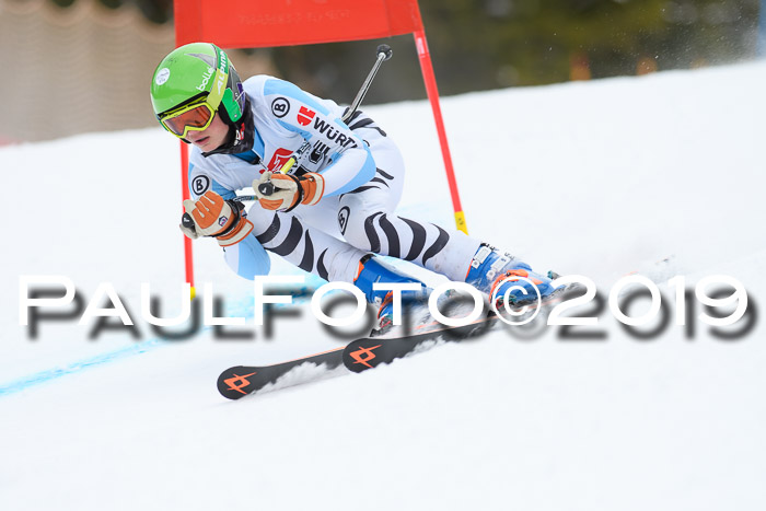 5. BZB CUP RS, + Werdenfelser Meisterschaft + U18, 10.02.2019