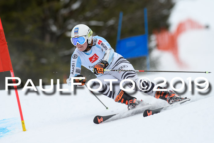 5. BZB CUP RS, + Werdenfelser Meisterschaft + U18, 10.02.2019