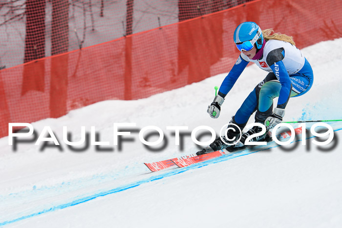 5. BZB CUP RS, + Werdenfelser Meisterschaft + U18, 10.02.2019