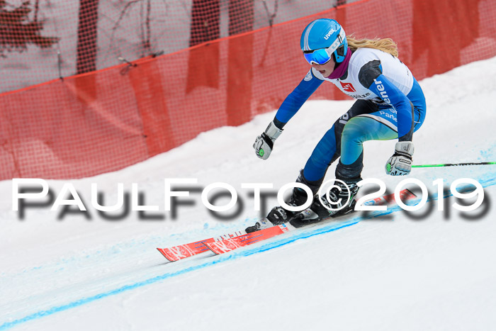 5. BZB CUP RS, + Werdenfelser Meisterschaft + U18, 10.02.2019
