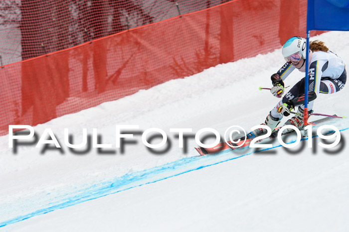 5. BZB CUP RS, + Werdenfelser Meisterschaft + U18, 10.02.2019