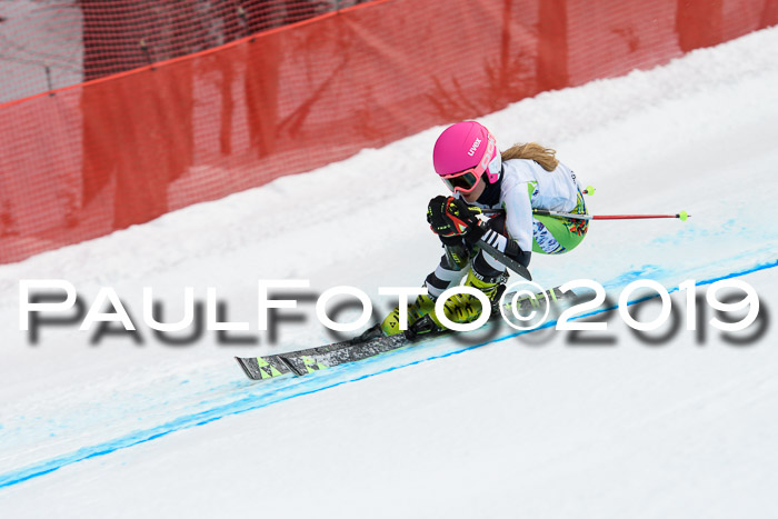 5. BZB CUP RS, + Werdenfelser Meisterschaft + U18, 10.02.2019