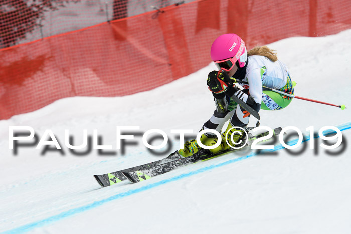 5. BZB CUP RS, + Werdenfelser Meisterschaft + U18, 10.02.2019