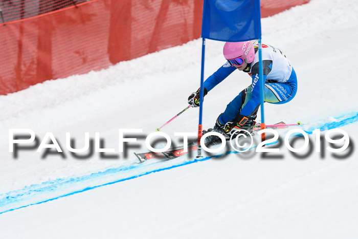 5. BZB CUP RS, + Werdenfelser Meisterschaft + U18, 10.02.2019