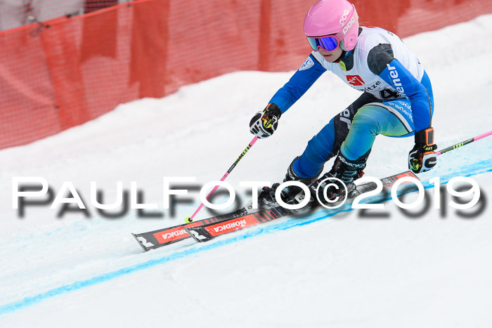 5. BZB CUP RS, + Werdenfelser Meisterschaft + U18, 10.02.2019