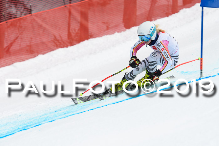 5. BZB CUP RS, + Werdenfelser Meisterschaft + U18, 10.02.2019