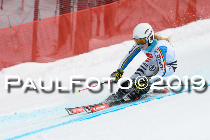 5. BZB CUP RS, + Werdenfelser Meisterschaft + U18, 10.02.2019