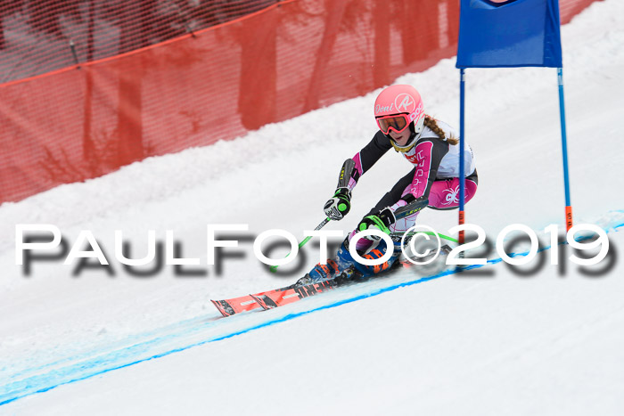 5. BZB CUP RS, + Werdenfelser Meisterschaft + U18, 10.02.2019