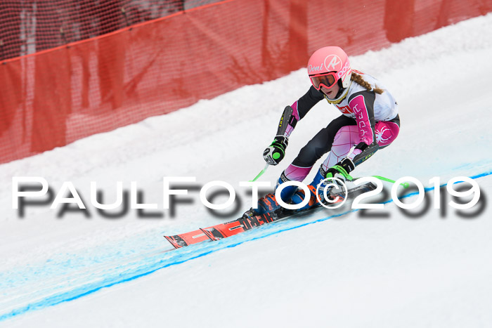 5. BZB CUP RS, + Werdenfelser Meisterschaft + U18, 10.02.2019