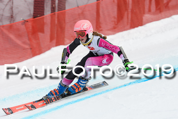 5. BZB CUP RS, + Werdenfelser Meisterschaft + U18, 10.02.2019