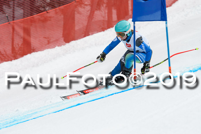 5. BZB CUP RS, + Werdenfelser Meisterschaft + U18, 10.02.2019