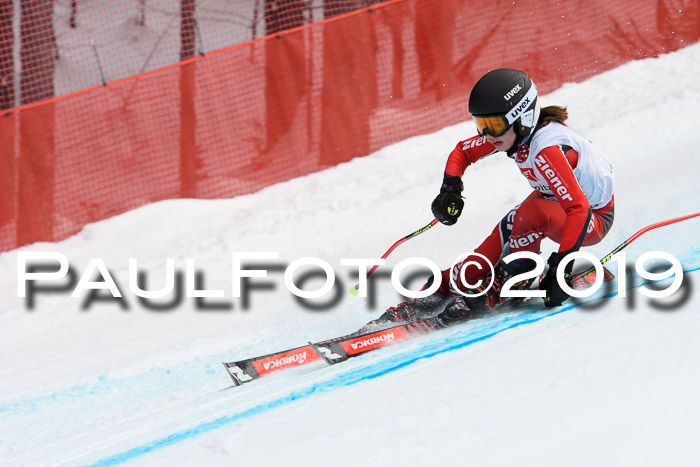 5. BZB CUP RS, + Werdenfelser Meisterschaft + U18, 10.02.2019