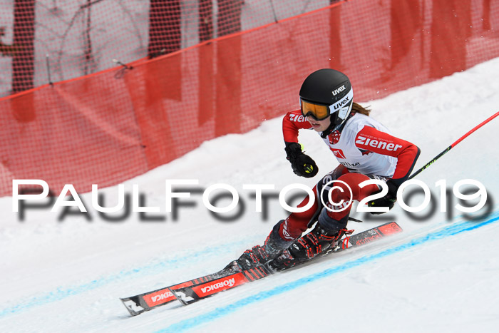 5. BZB CUP RS, + Werdenfelser Meisterschaft + U18, 10.02.2019