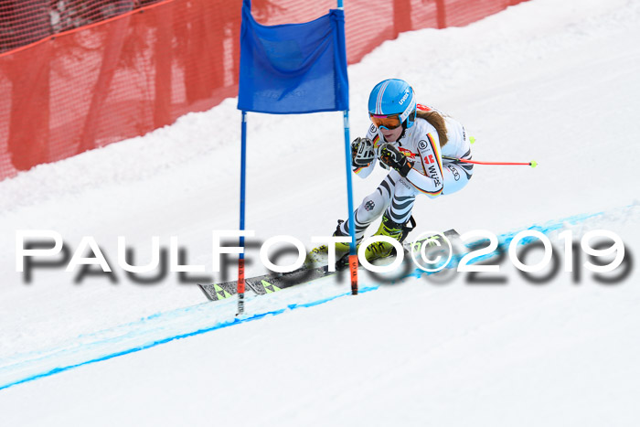 5. BZB CUP RS, + Werdenfelser Meisterschaft + U18, 10.02.2019