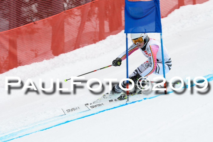 5. BZB CUP RS, + Werdenfelser Meisterschaft + U18, 10.02.2019