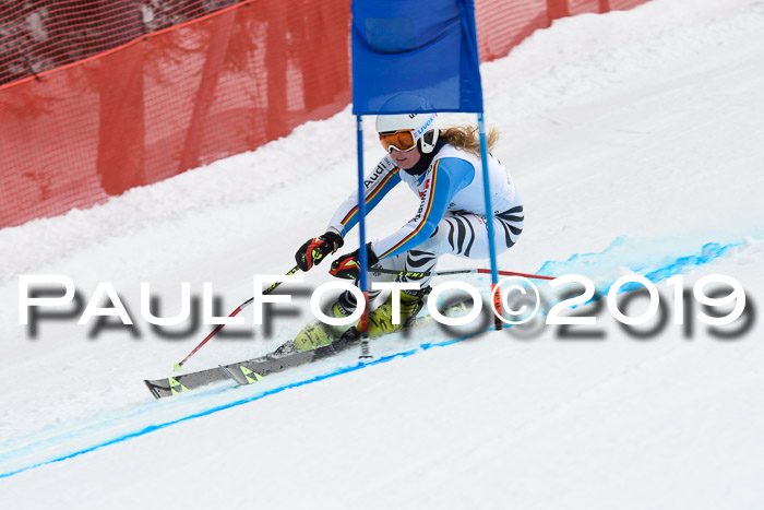 5. BZB CUP RS, + Werdenfelser Meisterschaft + U18, 10.02.2019
