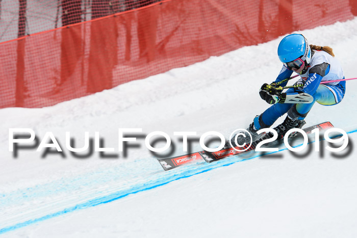 5. BZB CUP RS, + Werdenfelser Meisterschaft + U18, 10.02.2019
