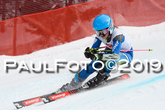 5. BZB CUP RS, + Werdenfelser Meisterschaft + U18, 10.02.2019