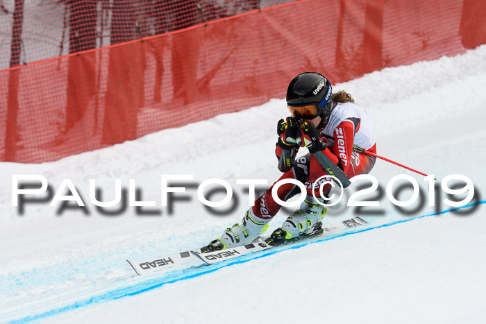 5. BZB CUP RS, + Werdenfelser Meisterschaft + U18, 10.02.2019