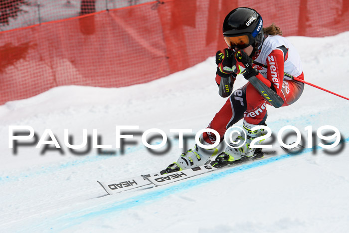 5. BZB CUP RS, + Werdenfelser Meisterschaft + U18, 10.02.2019