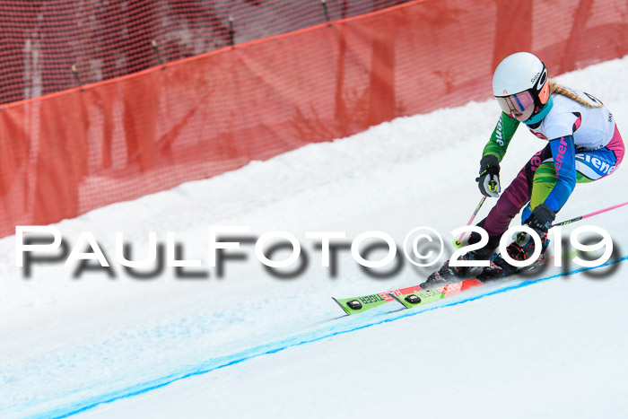 5. BZB CUP RS, + Werdenfelser Meisterschaft + U18, 10.02.2019