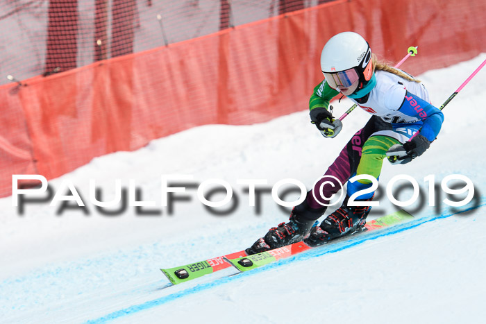 5. BZB CUP RS, + Werdenfelser Meisterschaft + U18, 10.02.2019