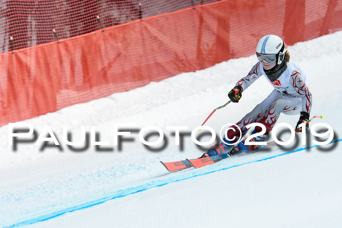 5. BZB CUP RS, + Werdenfelser Meisterschaft + U18, 10.02.2019