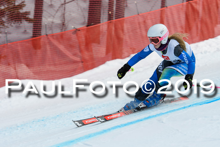 5. BZB CUP RS, + Werdenfelser Meisterschaft + U18, 10.02.2019