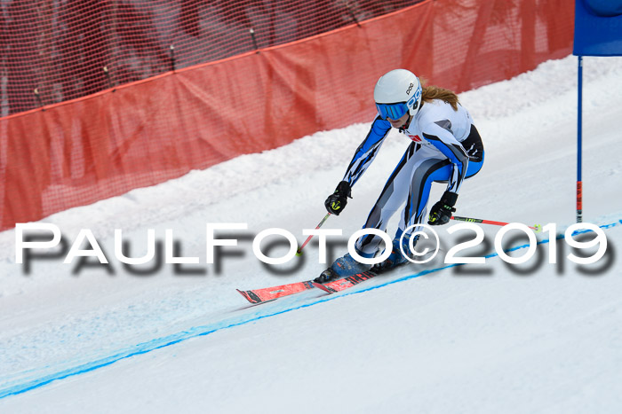 5. BZB CUP RS, + Werdenfelser Meisterschaft + U18, 10.02.2019