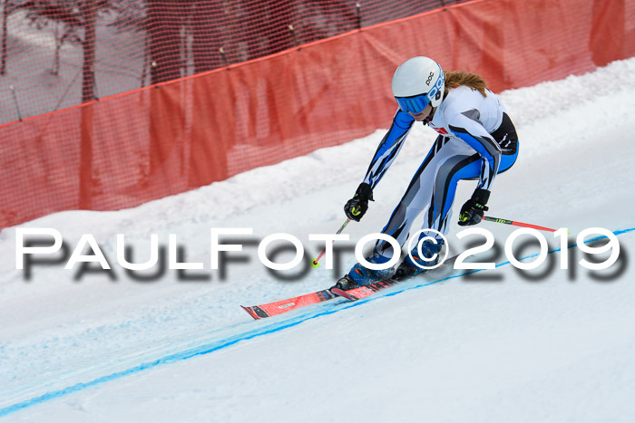 5. BZB CUP RS, + Werdenfelser Meisterschaft + U18, 10.02.2019