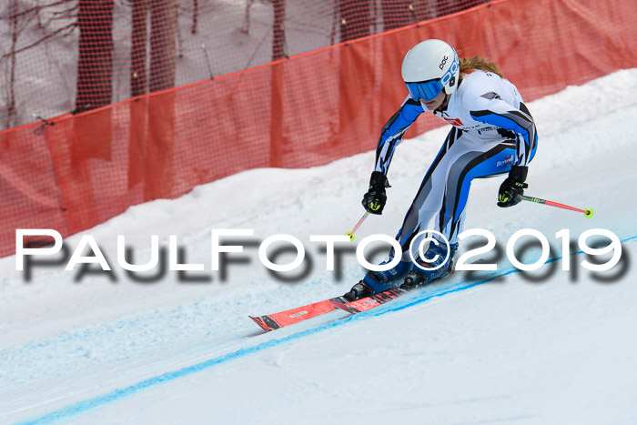 5. BZB CUP RS, + Werdenfelser Meisterschaft + U18, 10.02.2019