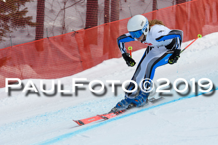 5. BZB CUP RS, + Werdenfelser Meisterschaft + U18, 10.02.2019