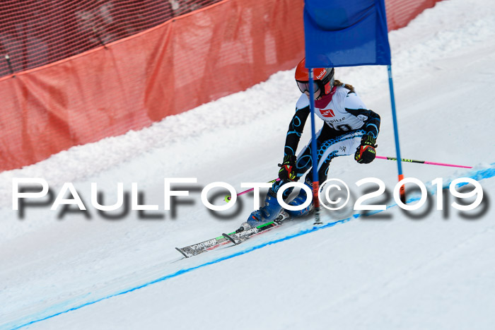 5. BZB CUP RS, + Werdenfelser Meisterschaft + U18, 10.02.2019