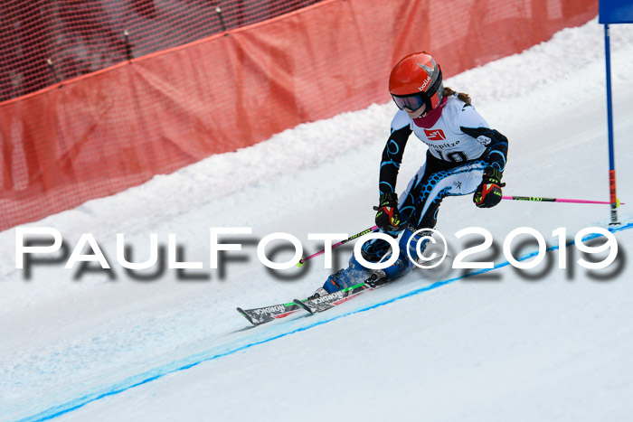 5. BZB CUP RS, + Werdenfelser Meisterschaft + U18, 10.02.2019