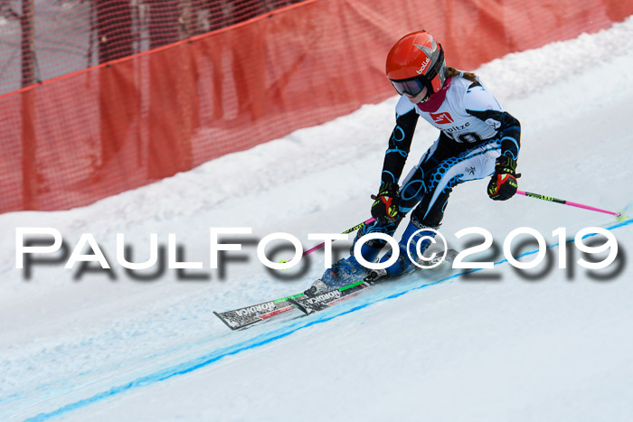 5. BZB CUP RS, + Werdenfelser Meisterschaft + U18, 10.02.2019