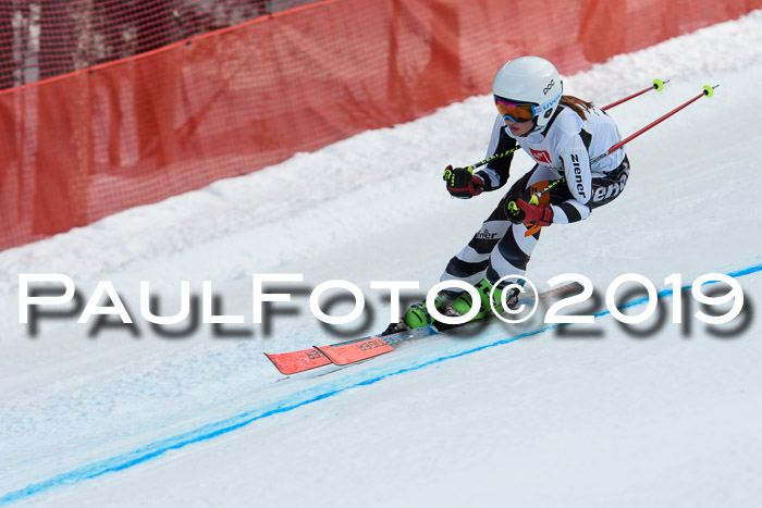 5. BZB CUP RS, + Werdenfelser Meisterschaft + U18, 10.02.2019