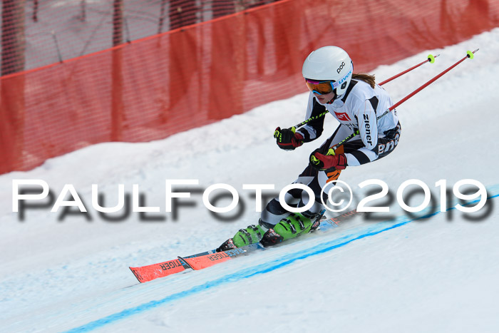 5. BZB CUP RS, + Werdenfelser Meisterschaft + U18, 10.02.2019
