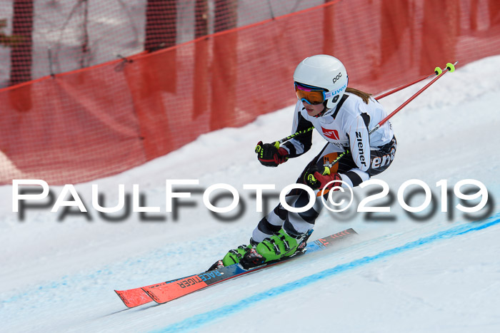 5. BZB CUP RS, + Werdenfelser Meisterschaft + U18, 10.02.2019