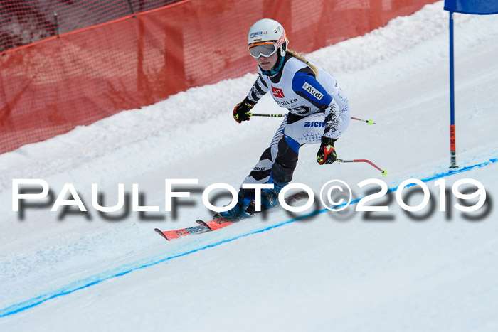 5. BZB CUP RS, + Werdenfelser Meisterschaft + U18, 10.02.2019