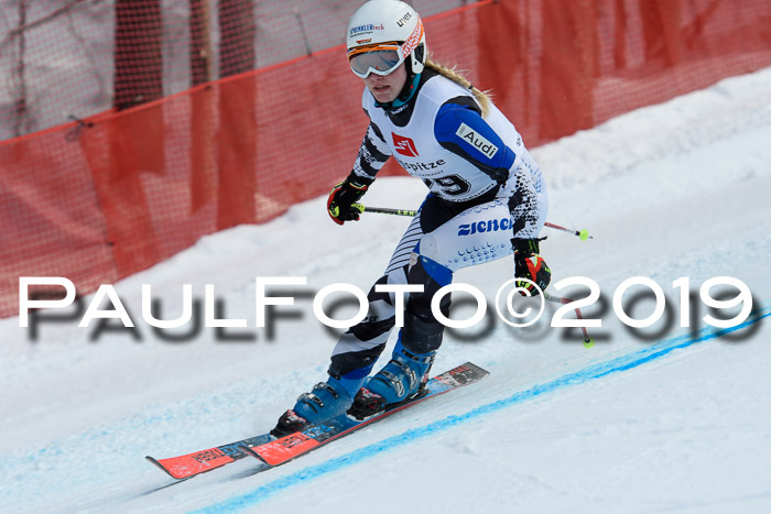 5. BZB CUP RS, + Werdenfelser Meisterschaft + U18, 10.02.2019