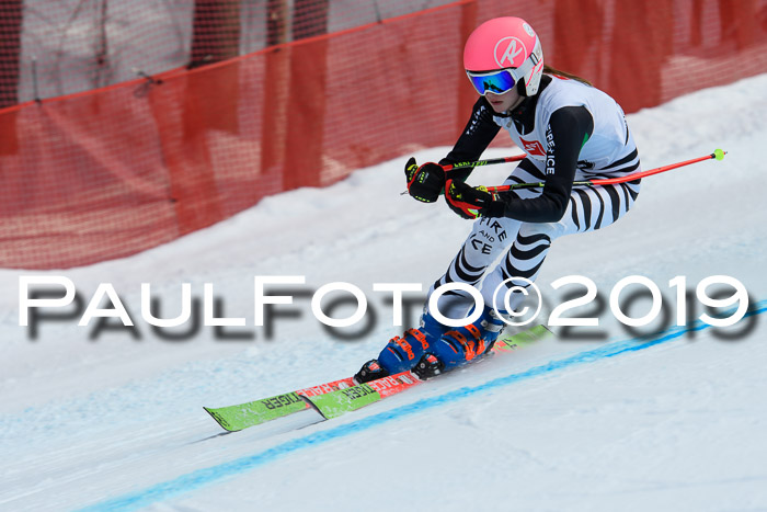5. BZB CUP RS, + Werdenfelser Meisterschaft + U18, 10.02.2019