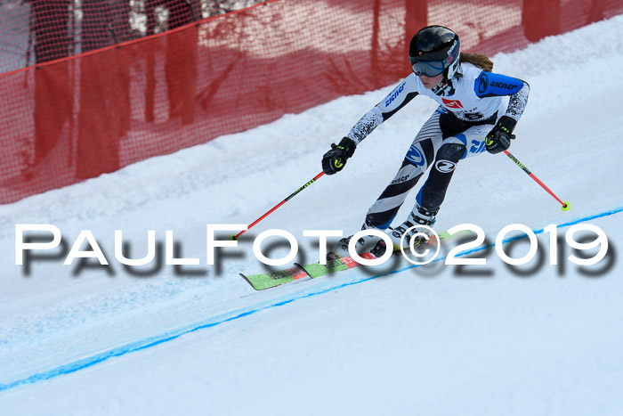 5. BZB CUP RS, + Werdenfelser Meisterschaft + U18, 10.02.2019