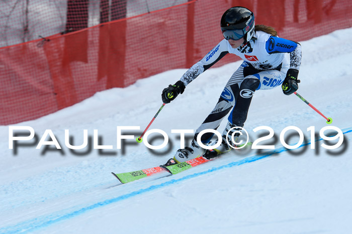 5. BZB CUP RS, + Werdenfelser Meisterschaft + U18, 10.02.2019