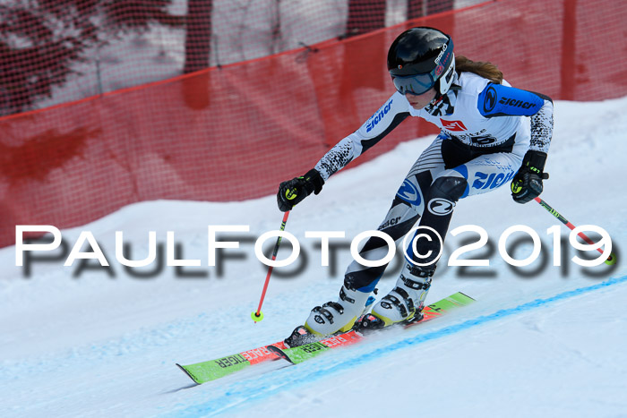 5. BZB CUP RS, + Werdenfelser Meisterschaft + U18, 10.02.2019