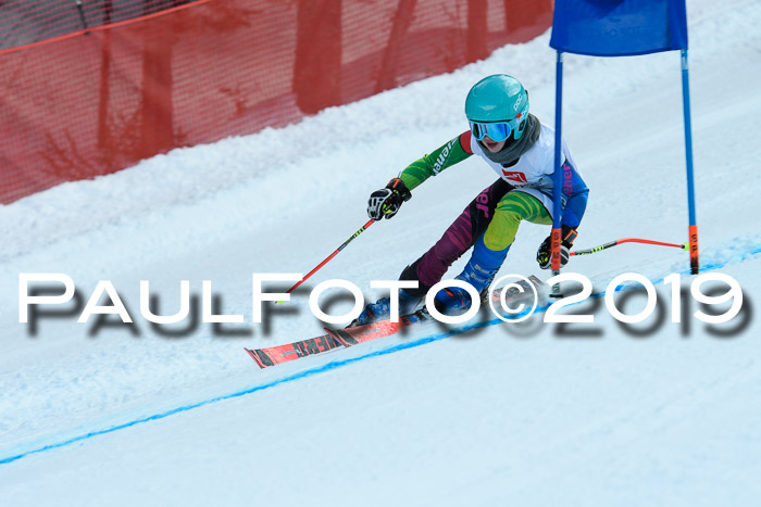 5. BZB CUP RS, + Werdenfelser Meisterschaft + U18, 10.02.2019