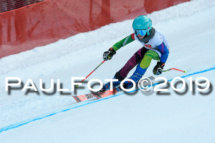 5. BZB CUP RS, + Werdenfelser Meisterschaft + U18, 10.02.2019