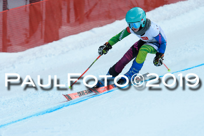 5. BZB CUP RS, + Werdenfelser Meisterschaft + U18, 10.02.2019