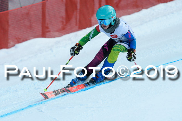 5. BZB CUP RS, + Werdenfelser Meisterschaft + U18, 10.02.2019